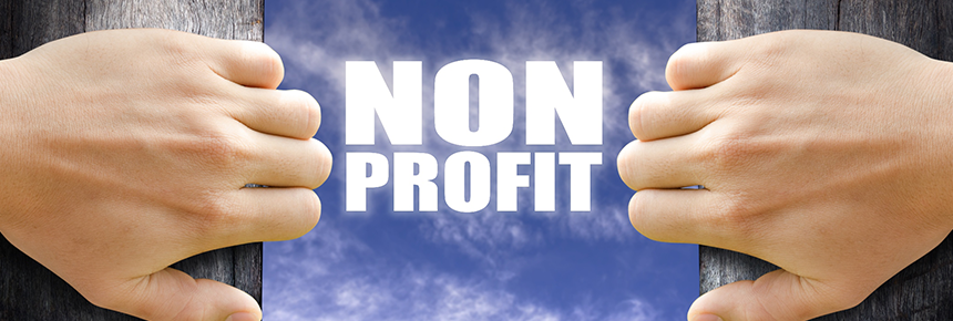 Non-Profit Organizations