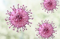 Herpes  virus