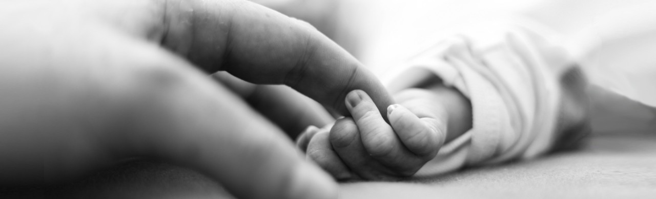 Fetal Infant Mortality Review Fimr